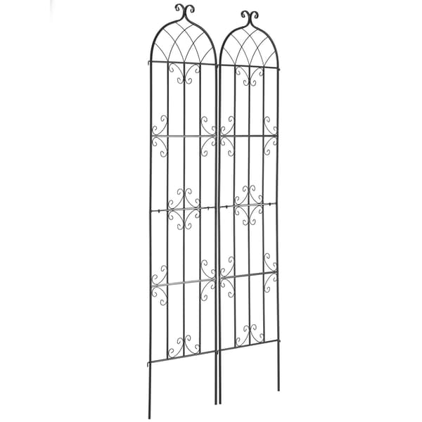 Trädgårdsspaljé, rostfri metall, 2-pack, 227 x 51 cm