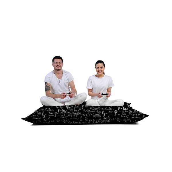 Garden Bean Bag Giant EMC2 Sort