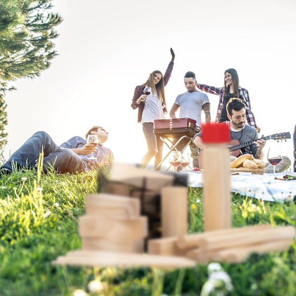 Kubb vikingaspel