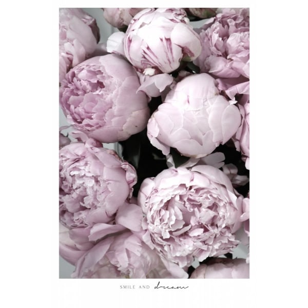 Smile And Dream Peonies - 50x70 cm