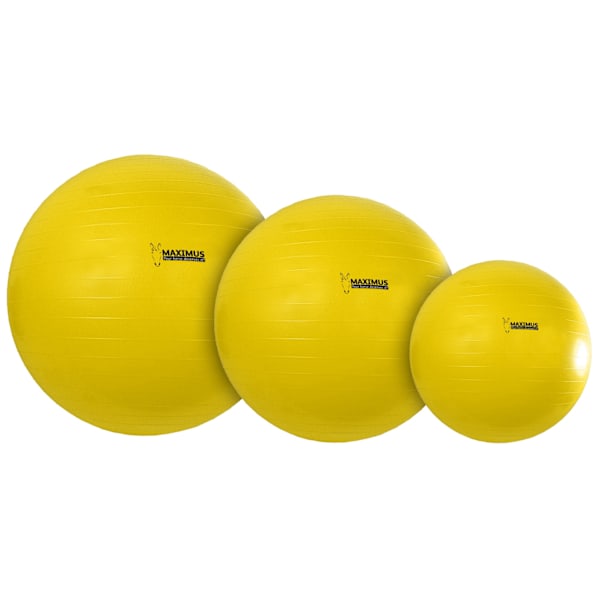 Maximus Power Play Ball 100cm