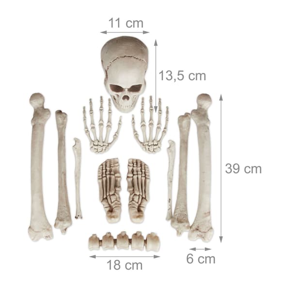 Halloween Skeleton -koristelusarja – 12 luuta
