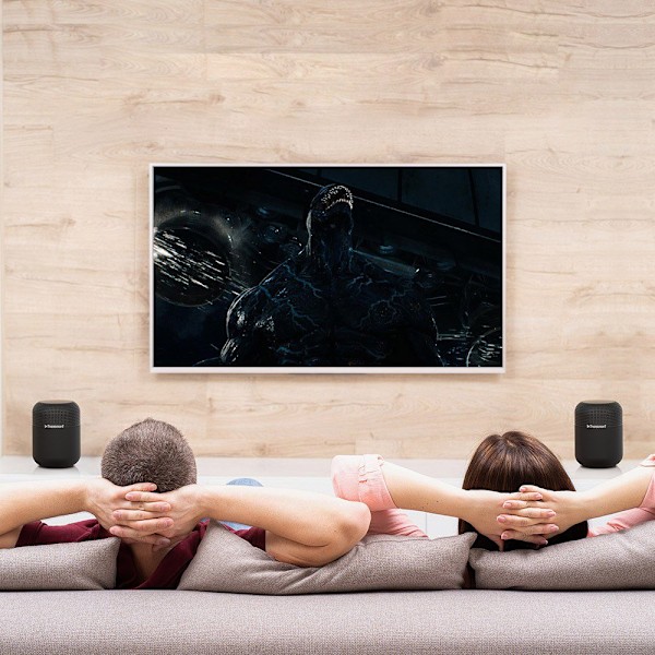 Element T6 Max 60W langaton Bluetooth-kaiutin, musta
