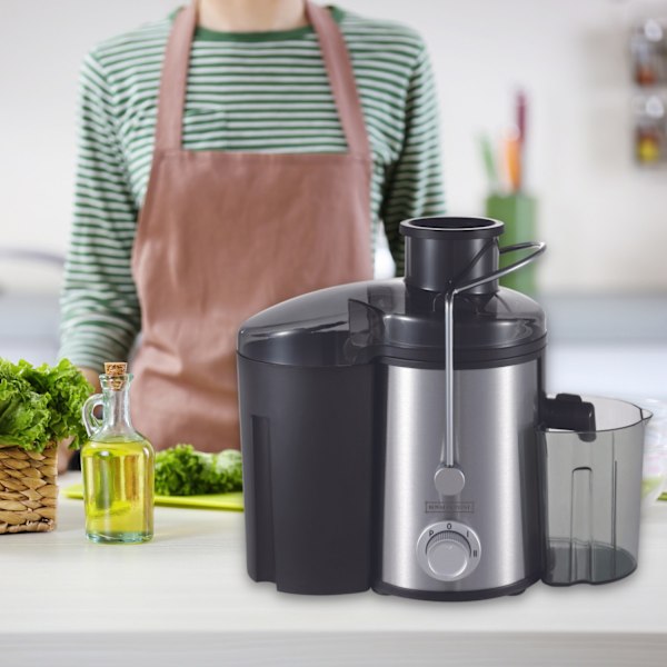 Royalty Line RL-PJ19001: 15L Juice Extractor i rostfritt stål - 700W - Grå