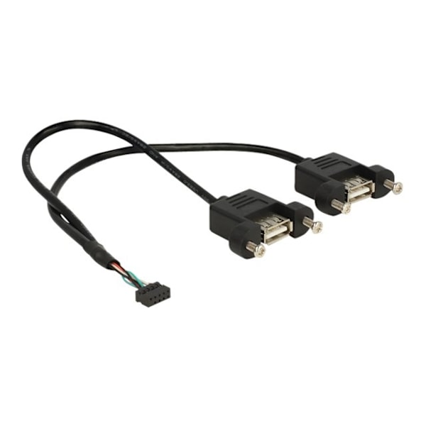Delock - USB internt til eksternt kabel - 10-bens USB top (hun) til USB (hun) - 25 cm - sort