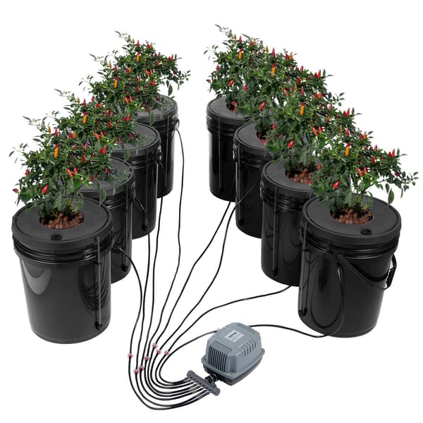 DWC hydroponiskt odlingssystem, 8 x 5-gallons kit med luftpump