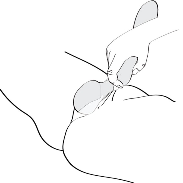 Shunga - Zoa Intimate Massager Rosa