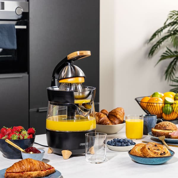 Juicepress Luxurious own design 300W