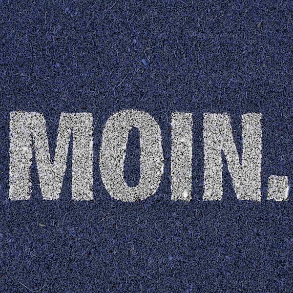 Ovimatto kookoskuitu "Moin"