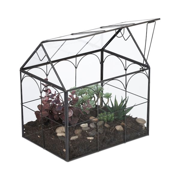 Glashusformat terrarium för krukväxter