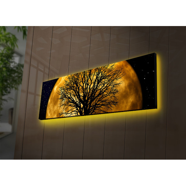 Dekorativ LED-belyst canvasmålning 3090DACT-71