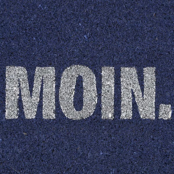 Ovimatto kookoskuitu "Moin"