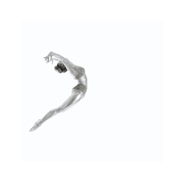 Flight - Gymnastics Series - 70x100 cm