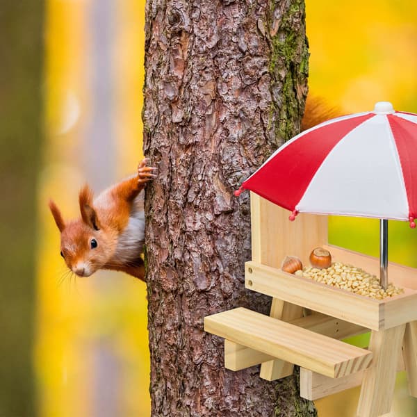 Squirrel Picnic Pöydän syöttölaite kahdella sateenvarjolla