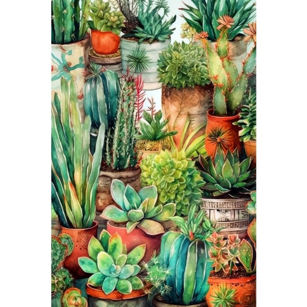 Succulents And Cactus 13 - 70x100 cm