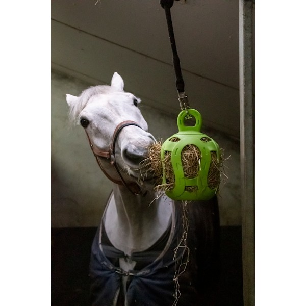 Jolly Hay Ball groen 20 cm