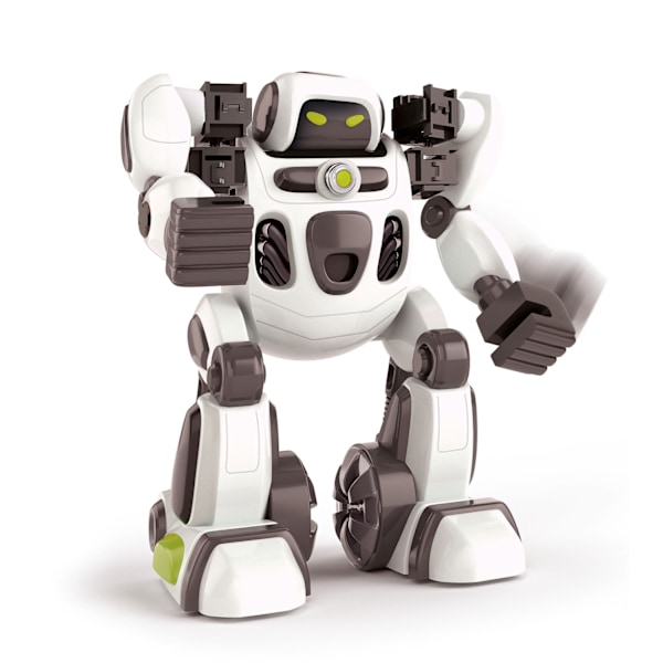 Clem. Padle The Ai Robot