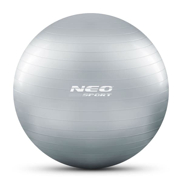 Träningsboll 75 cm NS-952 Silver
