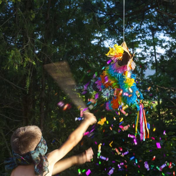 Pinata värikäs aasi