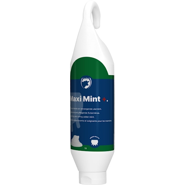 Maxi Mint Plus seisova-/riippuva pullo