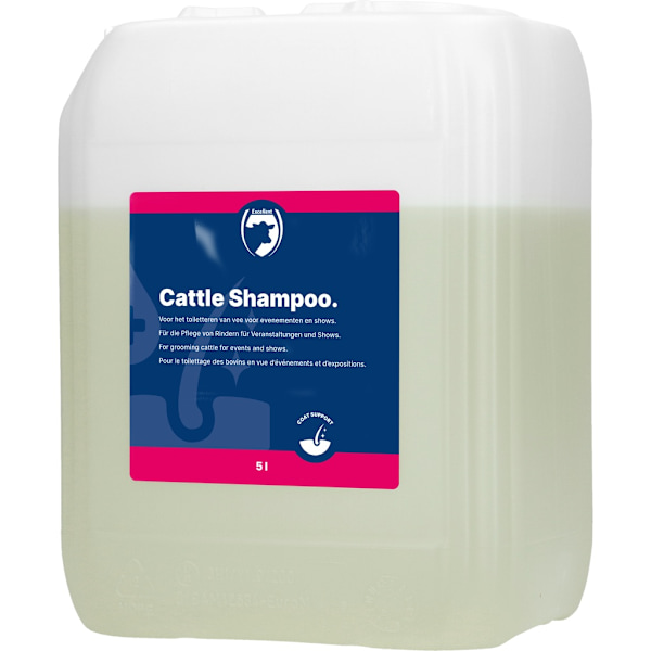 Shampoo kvæg