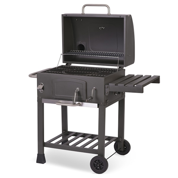 Berdsen BD-891 hiiligrilli