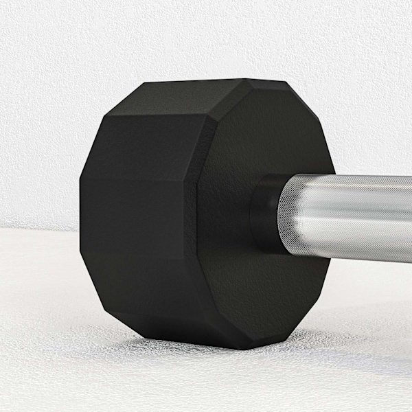 Hantelset 10 kg, metallhantlarset, set med 2 halkfria hantlar, för styrketräning och kondition, svart