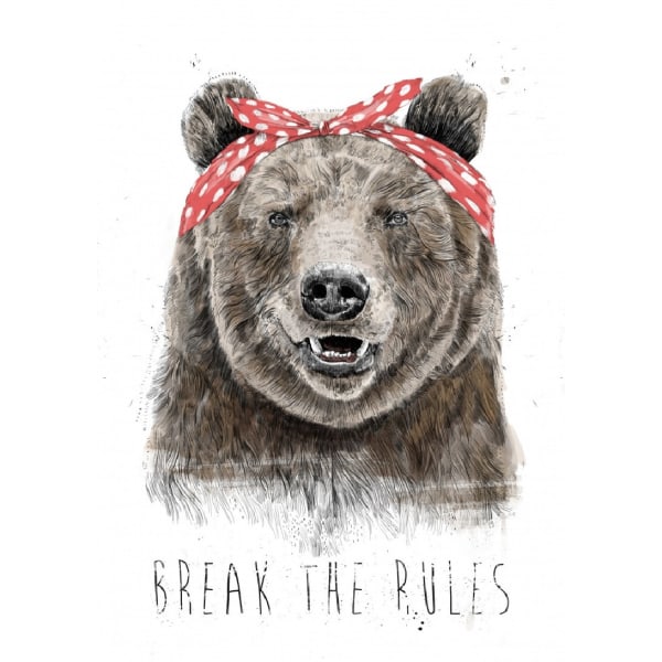 Break The Rules - 50x70 cm