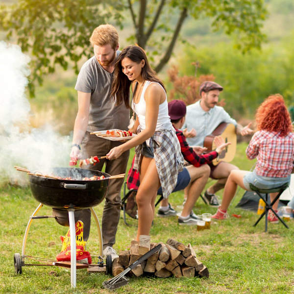 Grillborste rostfritt stål set om 2