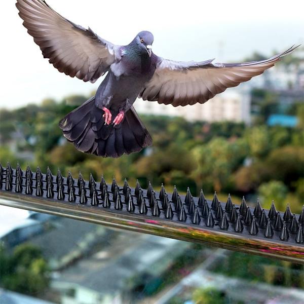 Fågelskrämmor: 10 skenor, 99 piggar/skena, total 5 meter