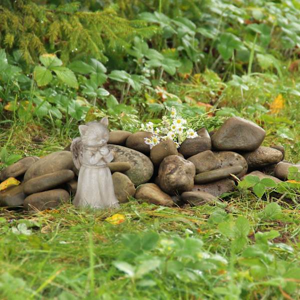 Katte engle statue