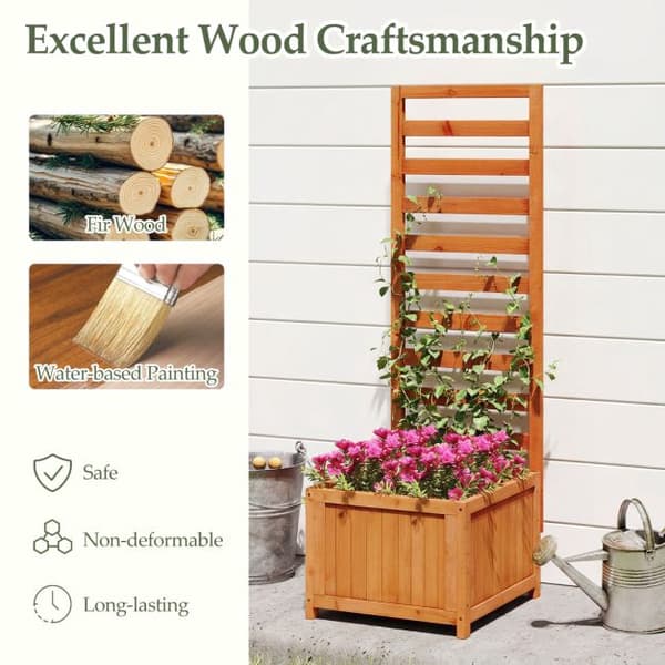 Højbed med espalier, grantræ
