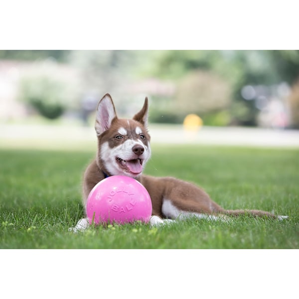 Jolly Ball Bounce-n Play 11 cm Rosa (Bubble Gum Smell)