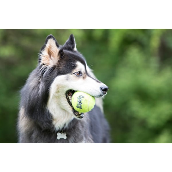 KONG Air Squeaker Tennisboll L 7,6 cm 1 st.