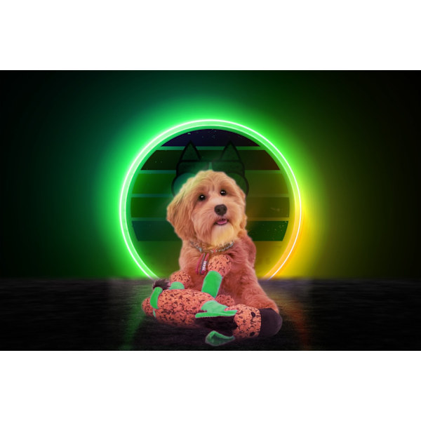 Retrodog Donkey Green M