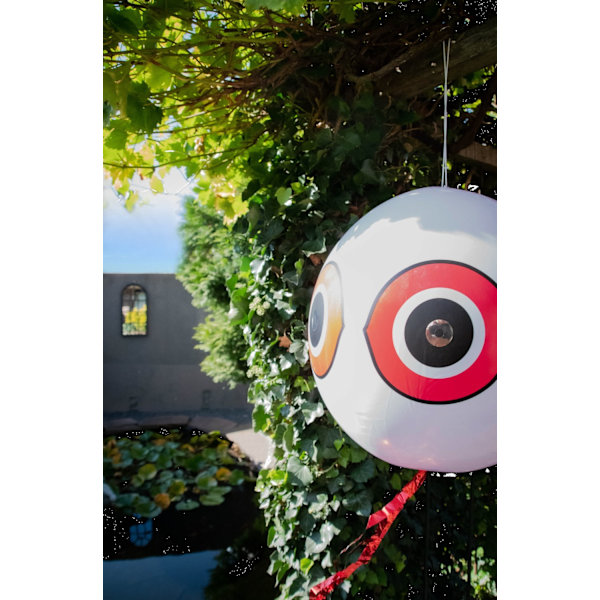 Knock Pest Scare ballon Sort