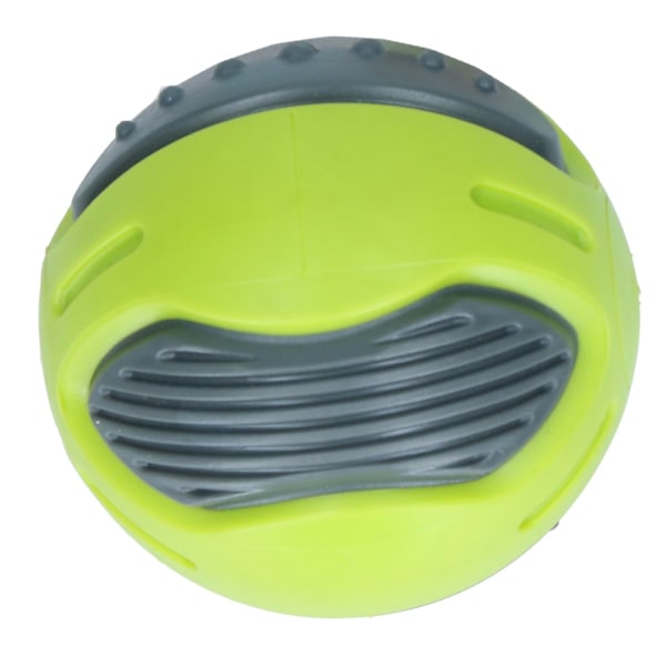 Pawise Dog Squeaky Bone