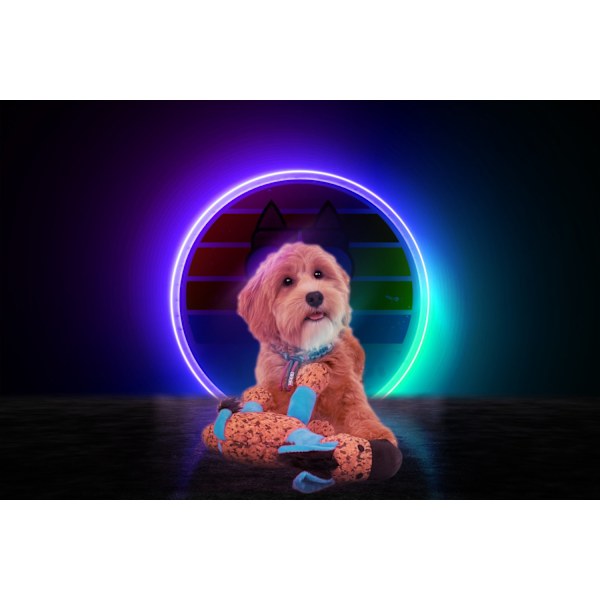 Retrodog Donkey Blue M