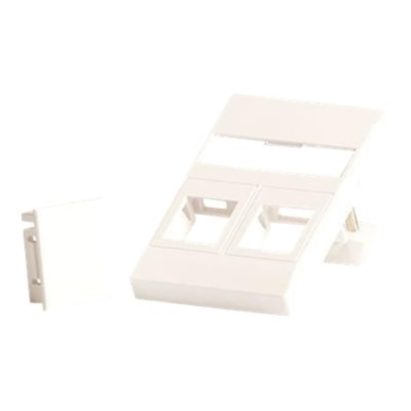 Lanview - Seinälevy - sopii 50x75 mm LK FUGA pistorasiaan - etikettiikkunalla - RJ 45 - 2 moduulia - valkoinen