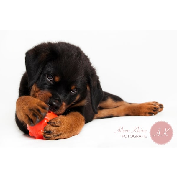 Jolly Jumper Ball 7,5 cm Orange
