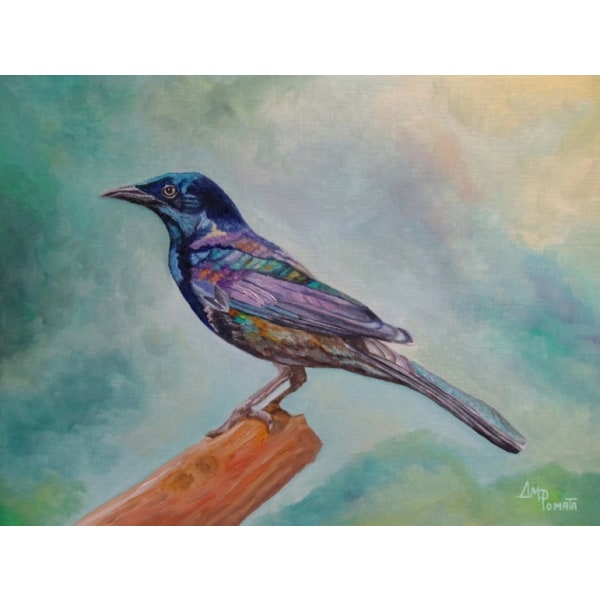 Dressed In Lights Common Grackle - 21x30 cm