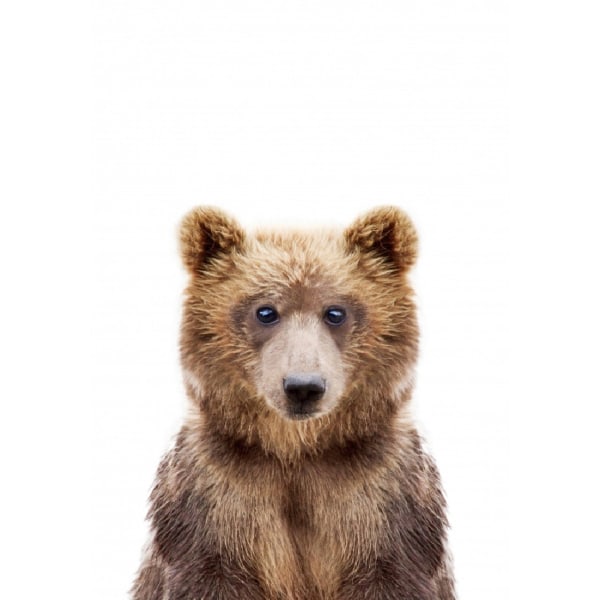 Baby Bear - 70x100 cm