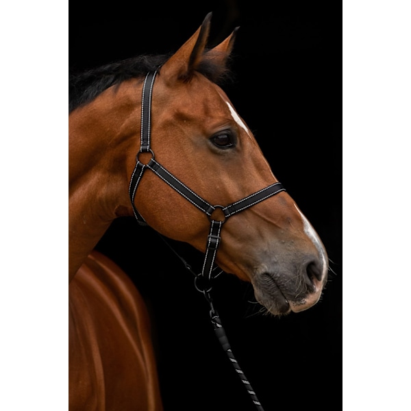 Erinomainen Horse Premium Halter XS Mini Foal Black