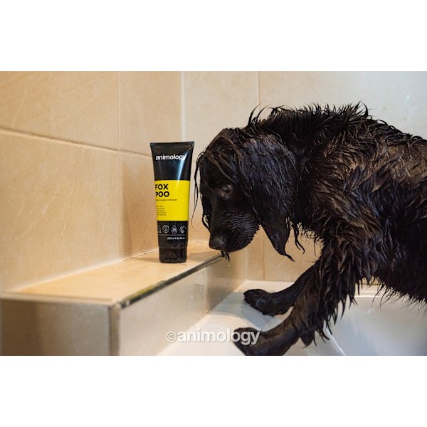 Animology Fox Poo Shampoo