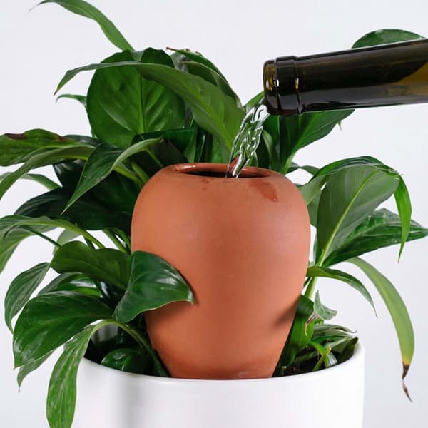Leravattenkoner med lock, 350 ml, set om 2