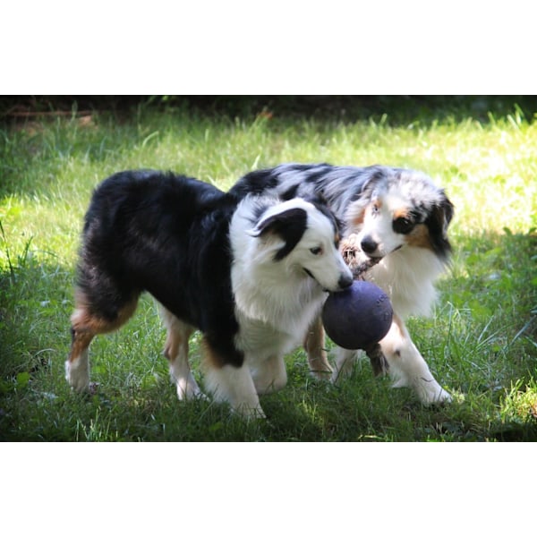 Jolly Ball Romp-n-Roll 10 cm Blå