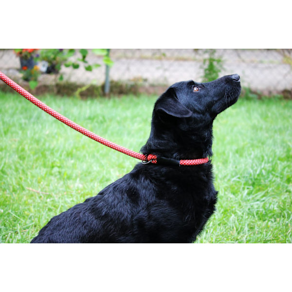 KONG Rope slip koppel One Size Röd