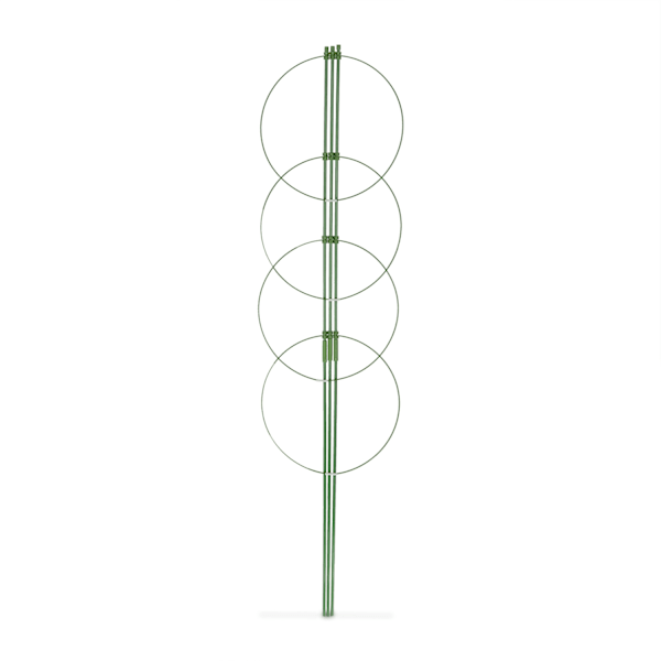Växtstöd 120 cm, set om 2