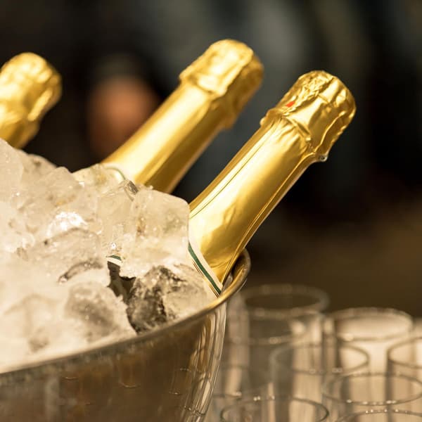 Champagnekylskål i rostfritt stål