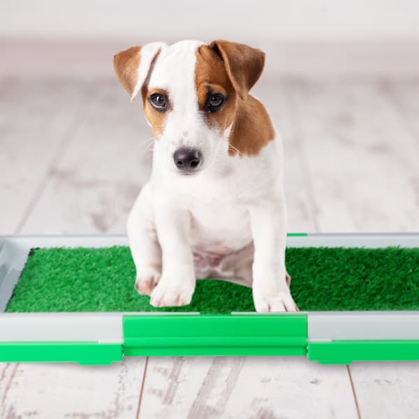 Valpströbricka med gräs – Easy Clean hundtoalett